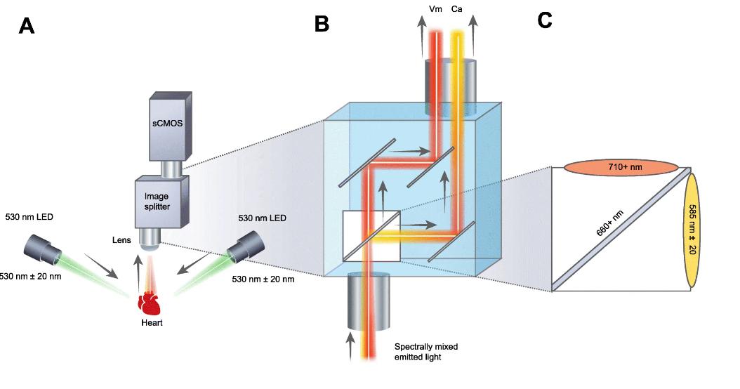 optical design.jpg