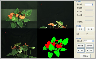 圖像處理視覺檢測軟件：花卉評級系統軟件